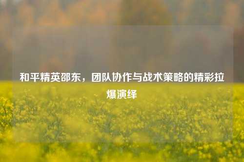 和平精英邵东,团队协作与战术策略的精彩拉爆演绎