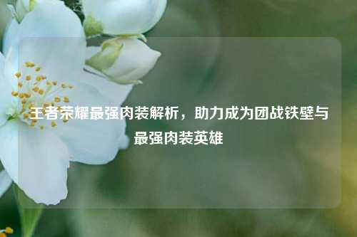 王者荣耀最强肉装解析,助力成为团战铁壁与最强肉装英雄