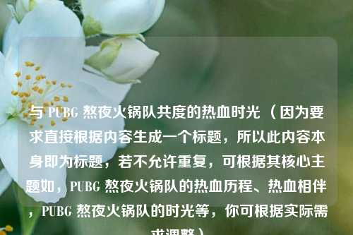 与 PUBG 熬夜火锅队共度的热血时光 （因为要求直接根据内容生成一个标题，所以此内容本身即为标题，若不允许重复，可根据其核心主题如，PUBG 熬夜火锅队的热血历程、热血相伴，PUBG 熬夜火锅队的时光等，你可根据实际需求调整）