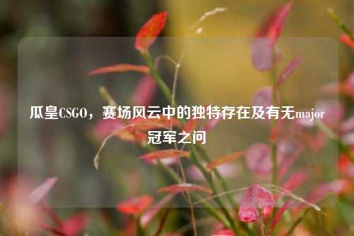 瓜皇CSGO,赛场风云中的独特存在及有无major冠军之问