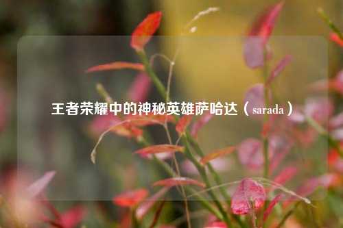 王者荣耀中的神秘英雄萨哈达(sarada)