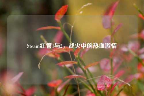 Steam红管1与2,战火中的热血激情