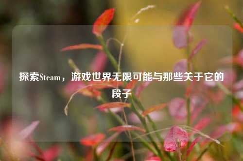 探索Steam,游戏世界无限可能与那些关于它的段子