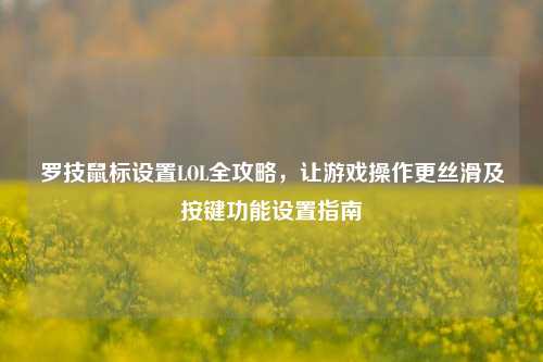 罗技鼠标设置LOL全攻略,让游戏操作更丝滑及按键功能设置指南