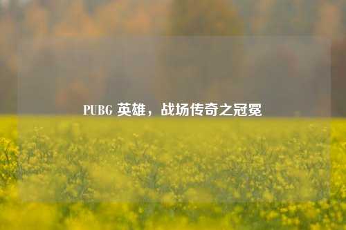 PUBG 英雄,战场传奇之冠冕