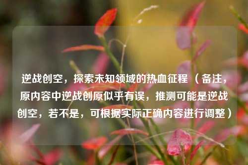 逆战创空,探索未知领域的热血征程 (备注,原内容中逆战创原似乎有误,推测可能是逆战创空,若不是,可根据实际正确内容进行调整)