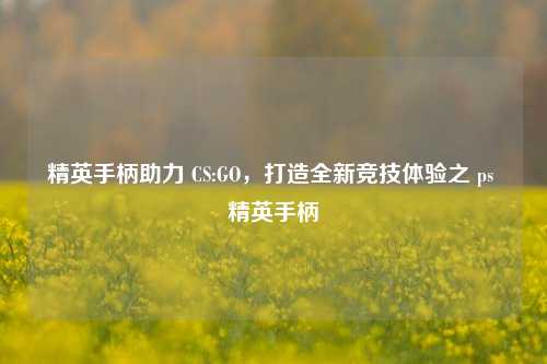 精英手柄助力 CS:GO,打造全新竞技体验之 ps 精英手柄