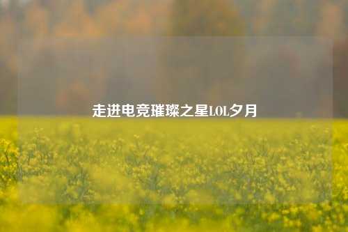 走进电竞璀璨之星LOL夕月