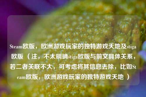 Steam欧版,欧洲游戏玩家的独特游戏天地及stiga欧版 (注,不太明确stiga欧版与前文具体关系,若二者关联不大,可考虑将其信息去除,比如Steam欧版,欧洲游戏玩家的独特游戏天地 )
