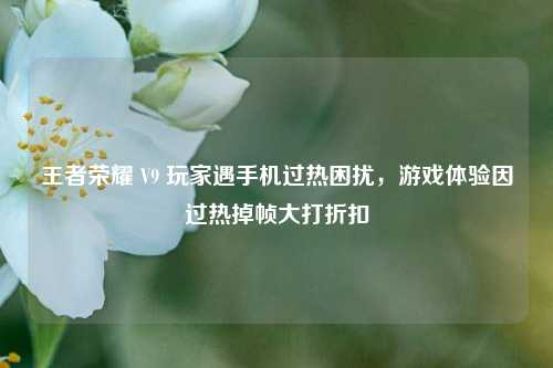王者荣耀 V9 玩家遇手机过热困扰,游戏体验因过热掉帧大打折扣