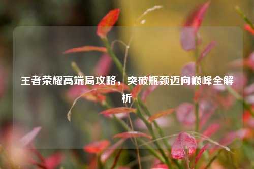 王者荣耀高端局攻略,突破瓶颈迈向巅峰全解析