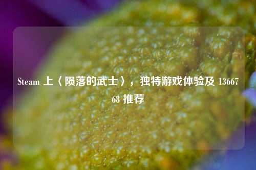 Steam 上〈陨落的武士〉,独特游戏体验及 1366768 推荐