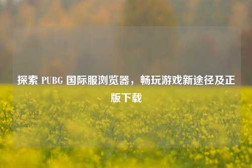 探索 PUBG 国际服浏览器,畅玩游戏新途径及正版下载