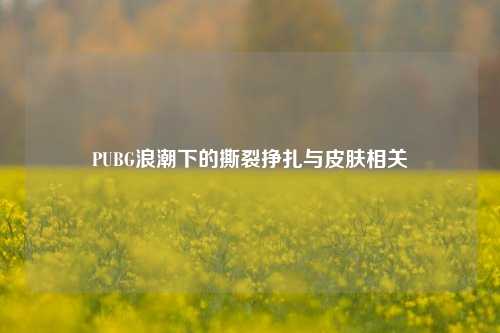 PUBG浪潮下的撕裂挣扎与皮肤相关