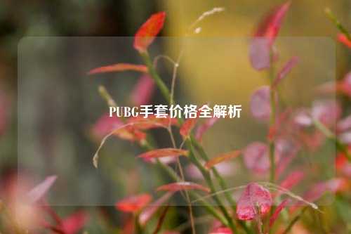 PUBG手套价格全解析