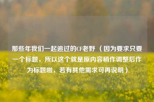 那些年我们一起追过的CF老野 (因为要求只要一个标题,所以这个就是原内容稍作调整后作为标题啦,若有其他需求可再说明)
