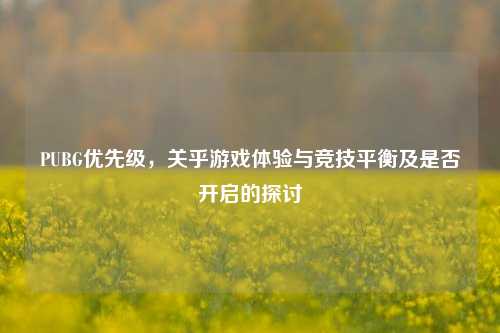 PUBG优先级，关乎游戏体验与竞技平衡及是否开启的探讨