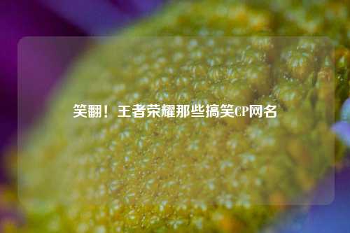 笑翻!王者荣耀那些搞笑CP网名