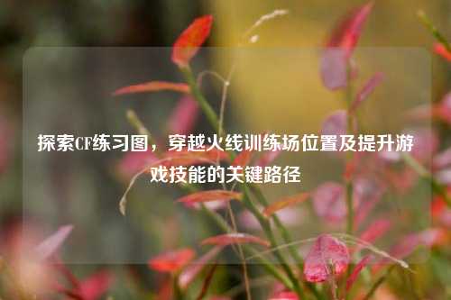 探索CF练习图，穿越火线训练场位置及提升游戏技能的关键路径