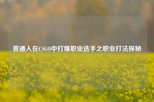 普通人在CSGO中打爆职业选手之职业打法探秘