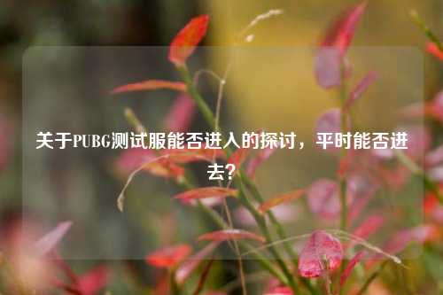 关于PUBG测试服能否进入的探讨,平时能否进去?