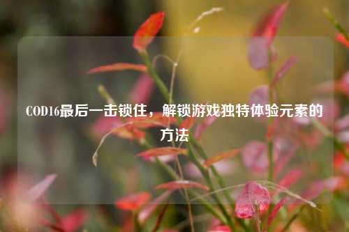 COD16最后一击锁住,解锁游戏独特体验元素的方法