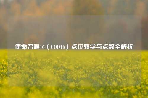 使命召唤16(COD16)点位教学与点数全解析