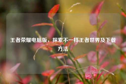 王者荣耀电脑版，探索不一样王者世界及下载方法