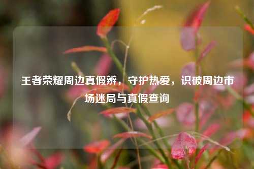 王者荣耀周边真假辨,守护热爱,识破周边市场迷局与真假查询