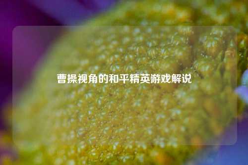 曹操视角的和平精英游戏解说