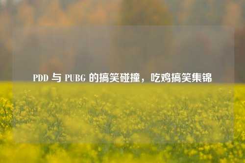 PDD 与 PUBG 的搞笑碰撞，吃鸡搞笑集锦
