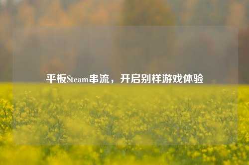 平板Steam串流,开启别样游戏体验