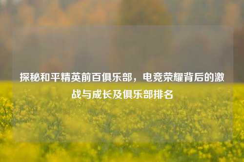探秘和平精英前百俱乐部，电竞荣耀背后的激战与成长及俱乐部排名