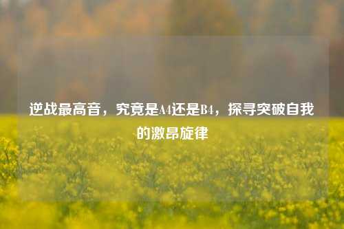 逆战最高音,究竟是A4还是B4,探寻突破自我的激昂旋律