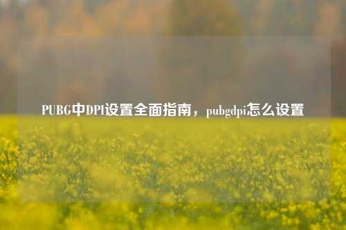 PUBG中DPI设置全面指南,pubgdpi怎么设置
