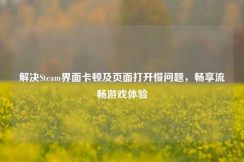 解决Steam界面卡顿及页面打开慢问题,畅享流畅游戏体验