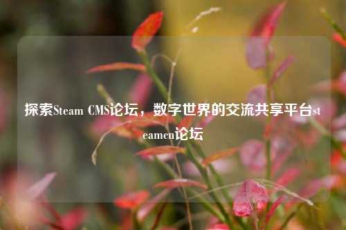 探索Steam CMS论坛，数字世界的交流共享平台steamcn论坛