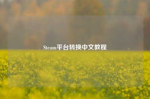 Steam平台转换中文教程