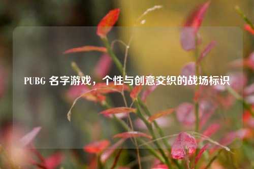 PUBG 名字游戏,个性与创意交织的战场标识