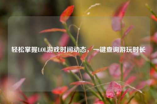 轻松掌握LOL游戏时间动态,一键查询游玩时长