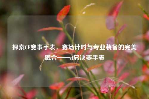 探索CF赛事手表，赛场计时与专业装备的完美融合——cf总决赛手表