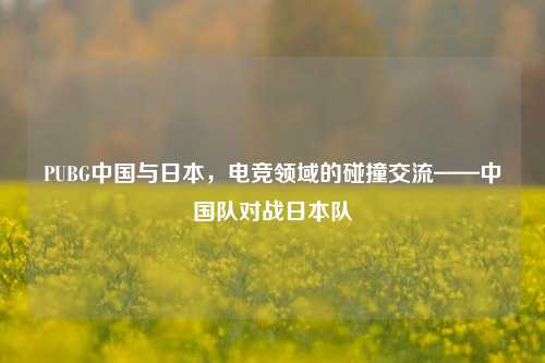 PUBG中国与日本，电竞领域的碰撞交流——中国队对战日本队