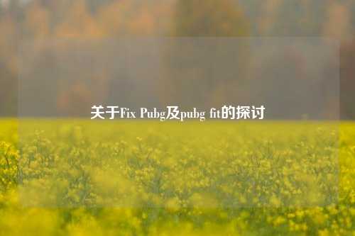 关于Fix Pubg及pubg fit的探讨