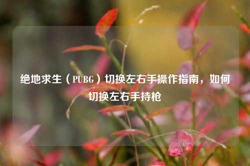 绝地求生(PUBG)切换左右手操作指南,如何切换左右手持枪
