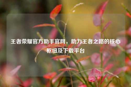 王者荣耀官方助手官网,助力王者之路的核心枢纽及下载平台