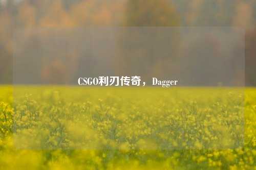 CSGO利刃传奇,Dagger