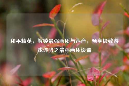 和平精英，解锁最强画质与声音，畅享极致游戏体验之最强画质设置