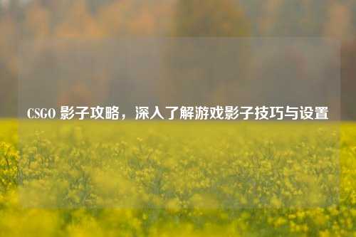 CSGO 影子攻略,深入了解游戏影子技巧与设置