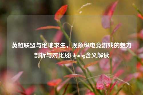 英雄联盟与绝地求生，现象级电竞游戏的魅力剖析与对比及lolpubg含义解读