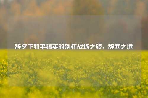 辞夕下和平精英的别样战场之旅，辞寒之境